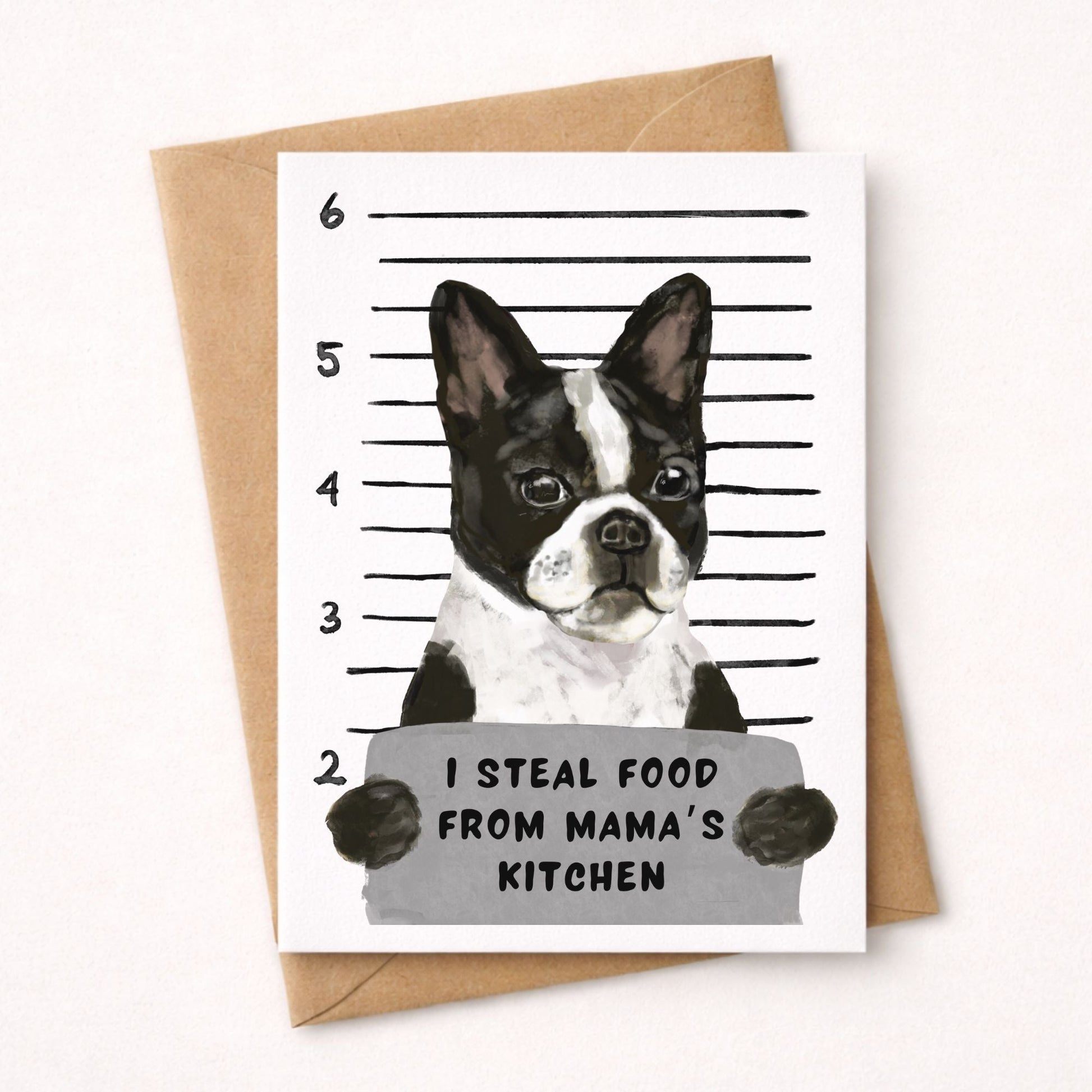 Mugshot Boston Terrier Dog Postcard - MerikaArt