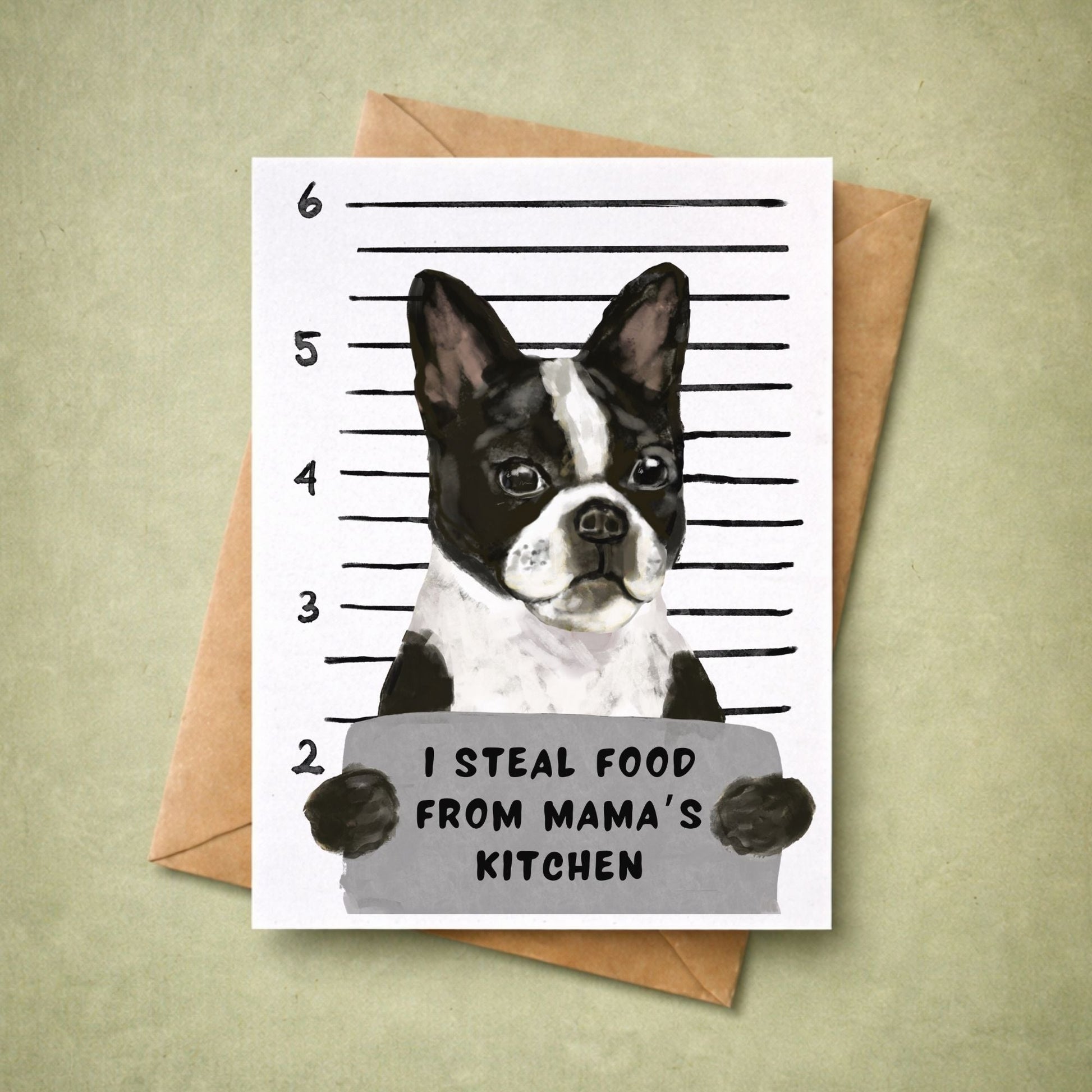 Mugshot Boston Terrier Dog Postcard - MerikaArt