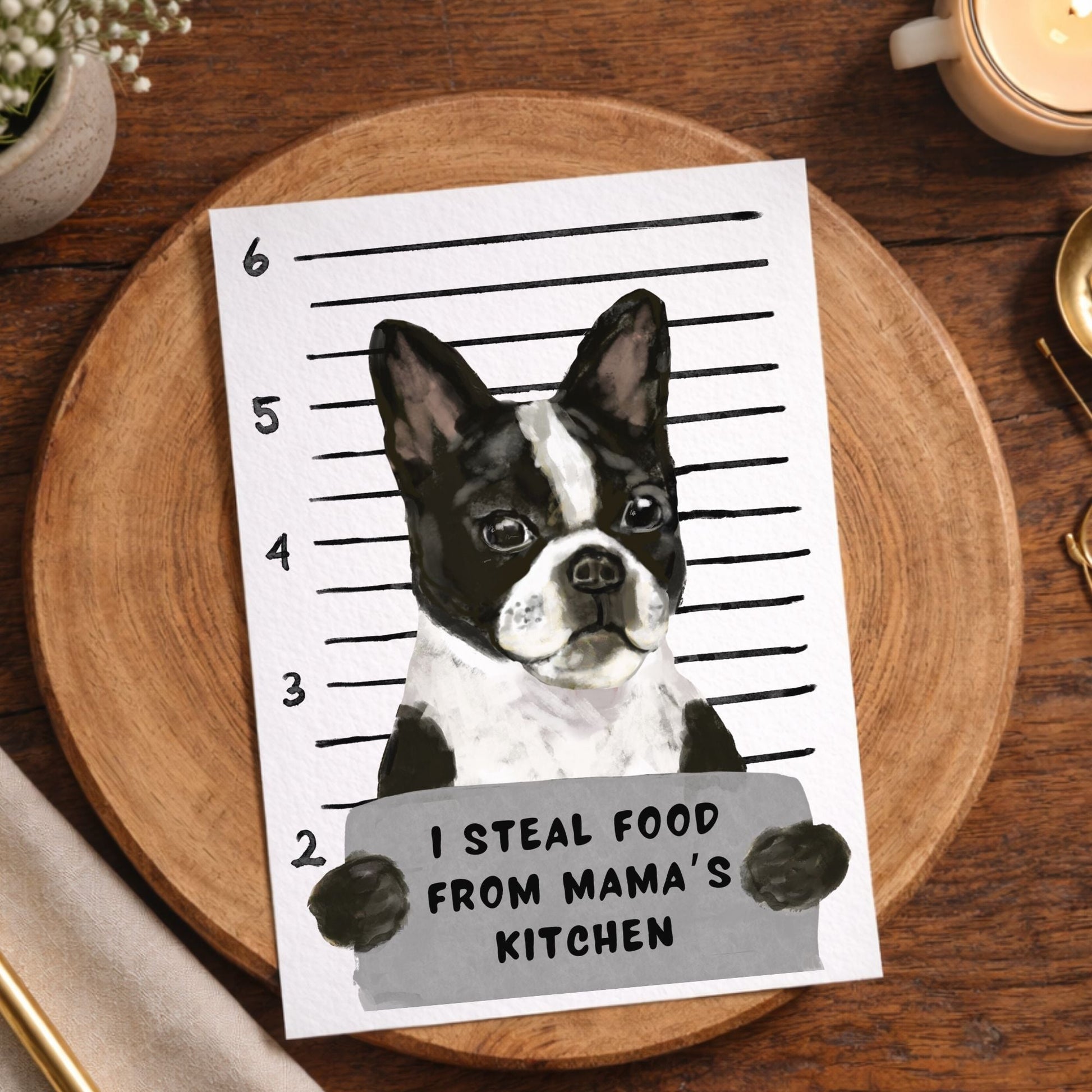 Mugshot Boston Terrier Dog Postcard - MerikaArt