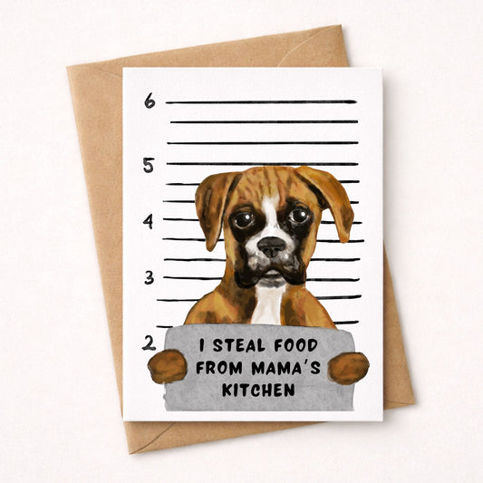 Mugshot Boxer Dog Postcard - MerikaArt