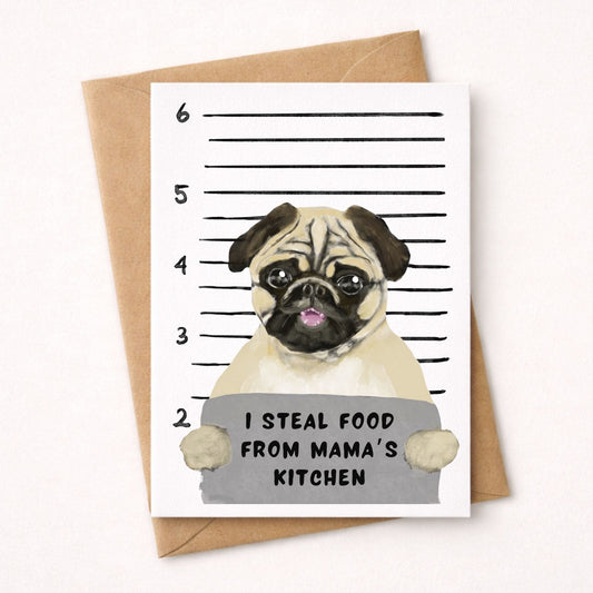 Mugshot Pug Dog Postcard - MerikaArt