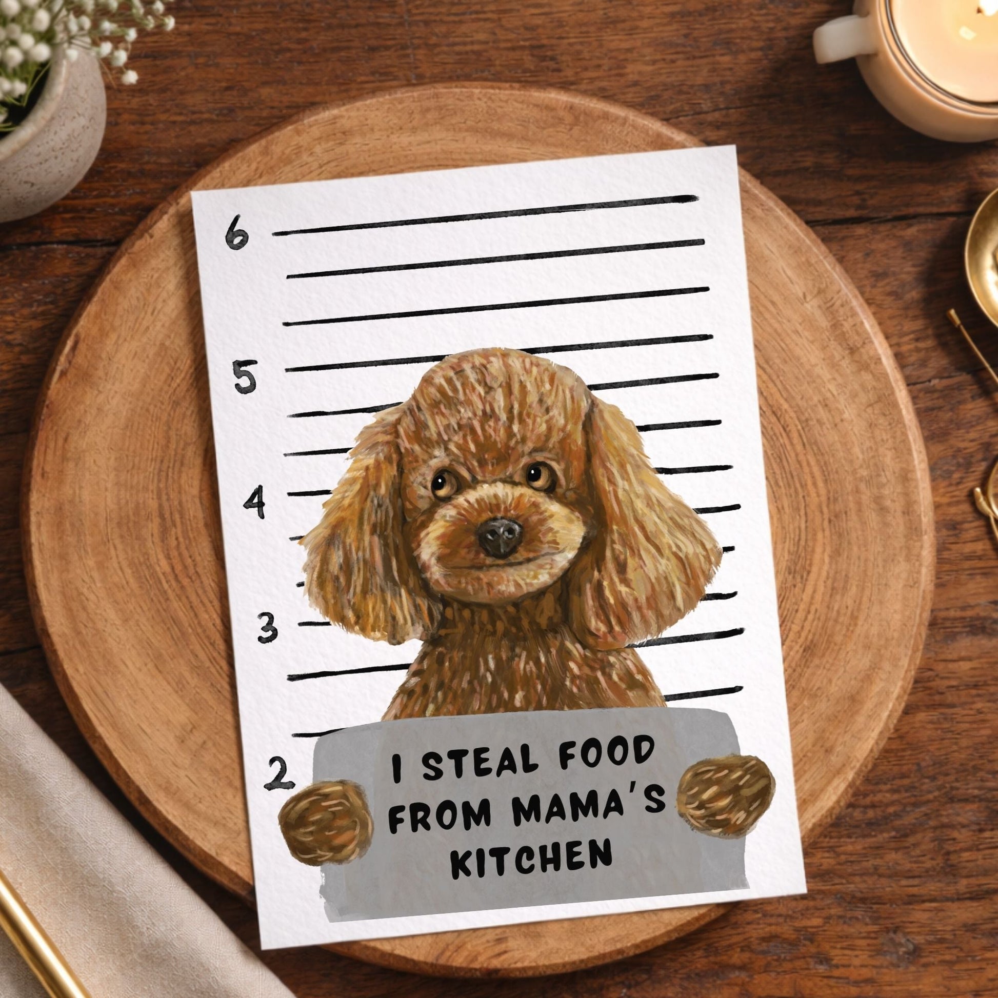 Mugshot Toy Poodle Dog Postcard - MerikaArt