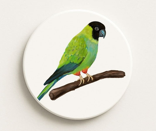 Nanday Conure Ceramic Coaster - MerikaArt