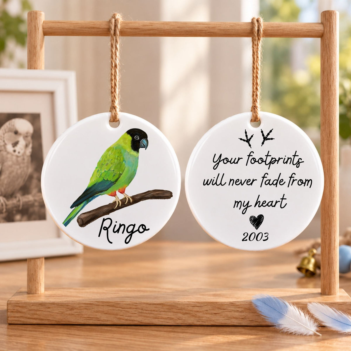 Nanday Conure Ceramic Ornament - MerikaArt