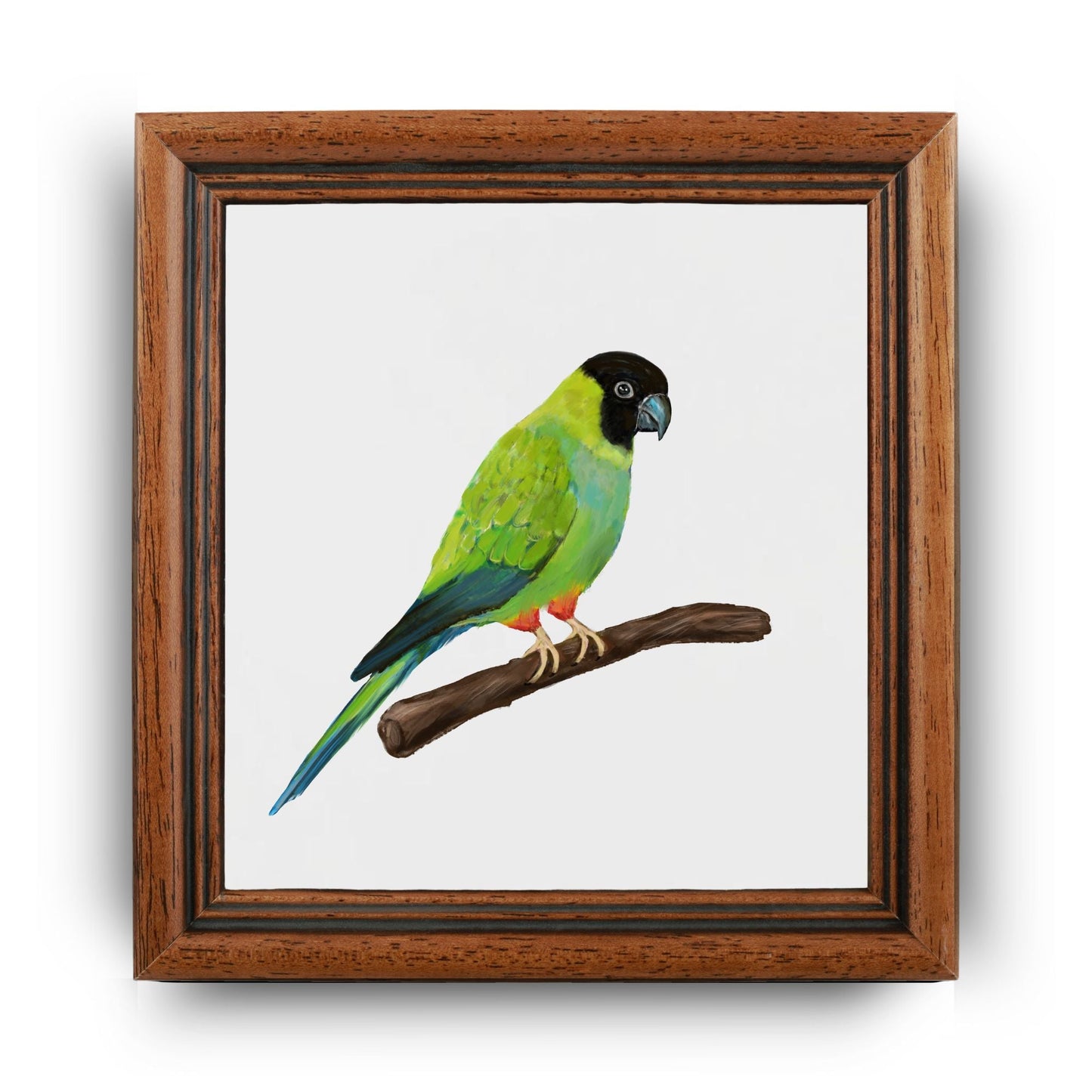 Nanday Conure Ceramic Tile – Handcrafted Bird Lover Artwork - MerikaArt