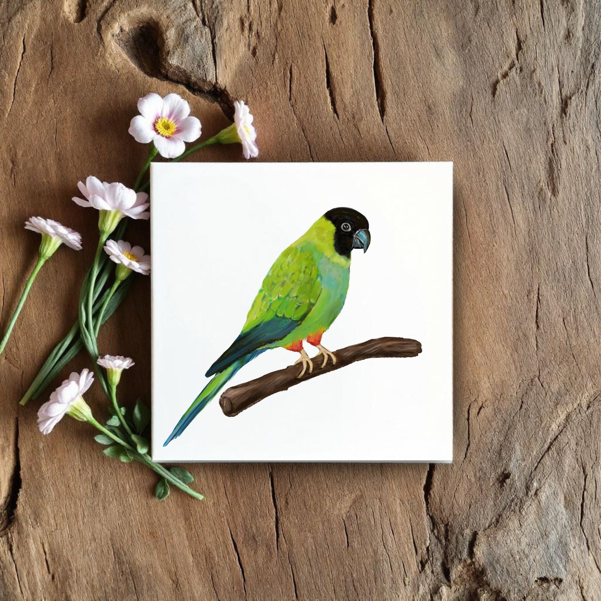 Nanday Conure Ceramic Tile – Handcrafted Bird Lover Artwork - MerikaArt