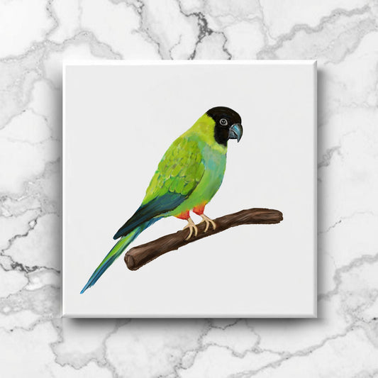 Nanday Conure Ceramic Tile – Handcrafted Bird Lover Artwork - MerikaArt