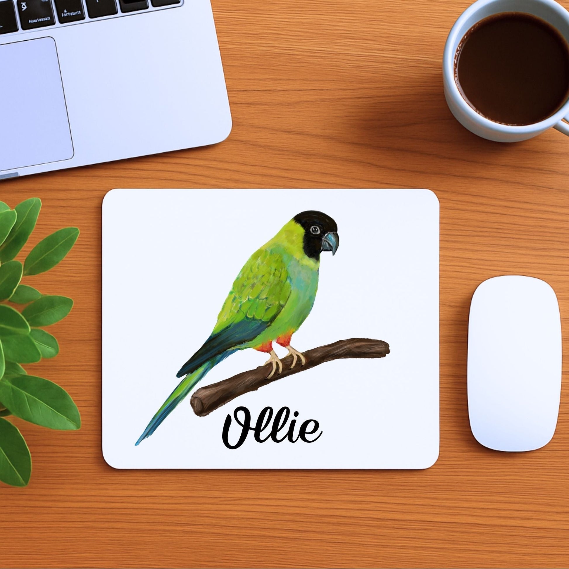 Nanday Conure Mousepad - MerikaArt
