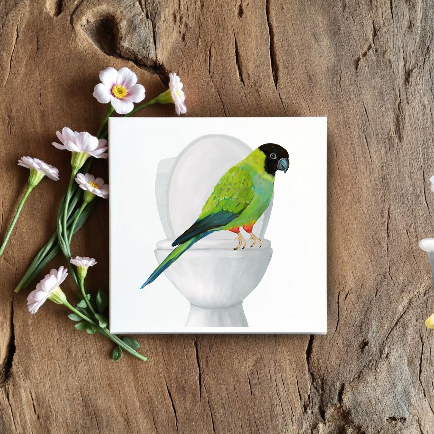 Nanday Conure on Toilet Ceramic Tile – Handcrafted Whimsical Decor - MerikaArt