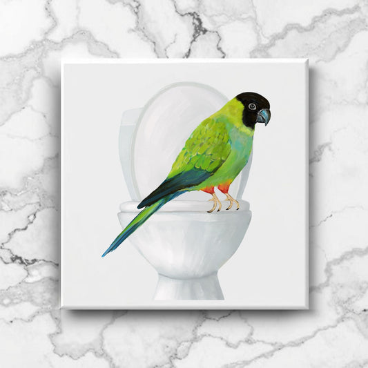 Nanday Conure on Toilet Ceramic Tile – Handcrafted Whimsical Decor - MerikaArt