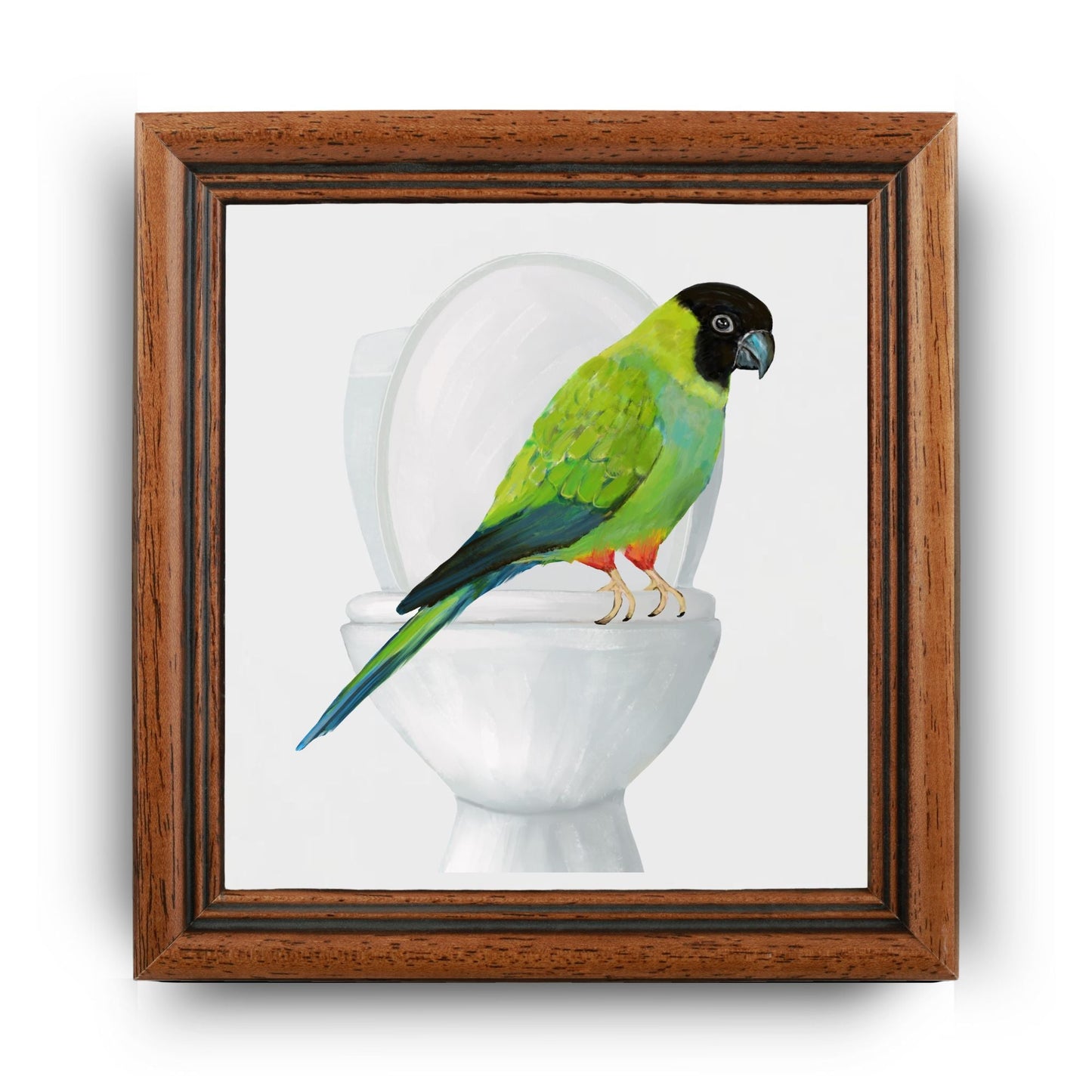 Nanday Conure on Toilet Ceramic Tile – Handcrafted Whimsical Decor - MerikaArt