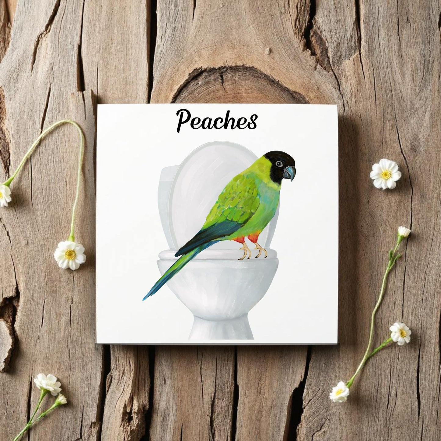 Nanday Conure on Toilet Ceramic Tile – Handcrafted Whimsical Decor - MerikaArt