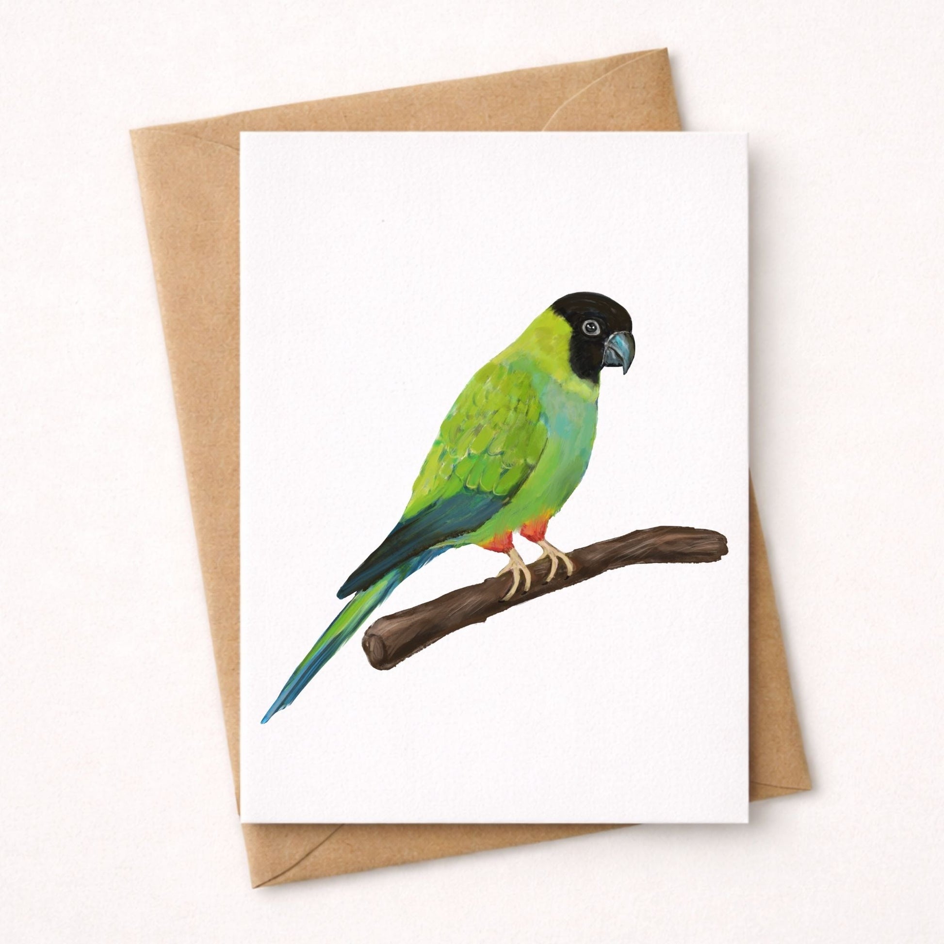 Nanday Conure Postcard - MerikaArt