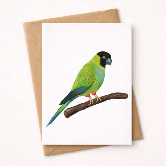 Nanday Conure Postcard - MerikaArt