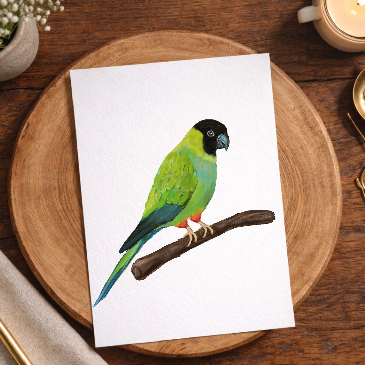 Nanday Conure Postcard - MerikaArt