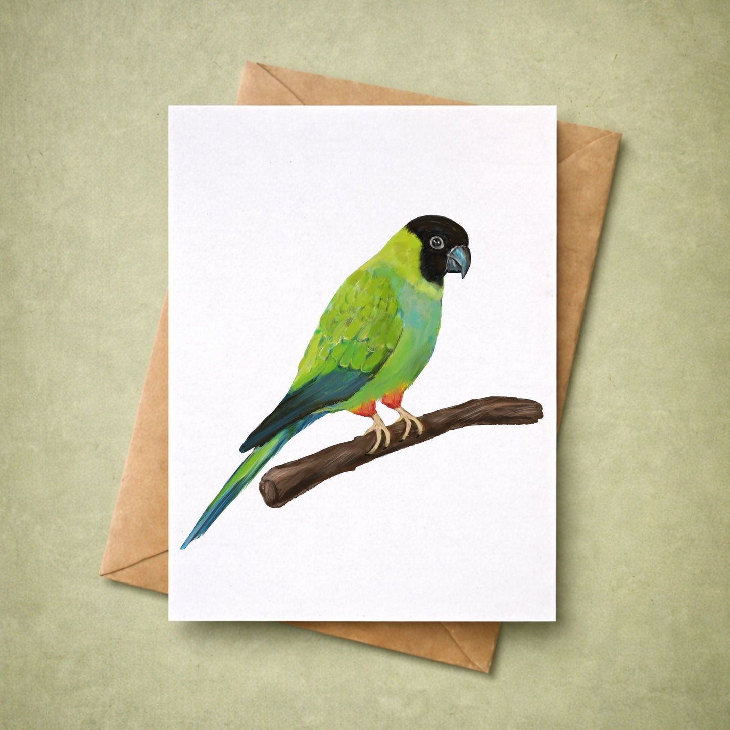 Nanday Conure Postcard - MerikaArt