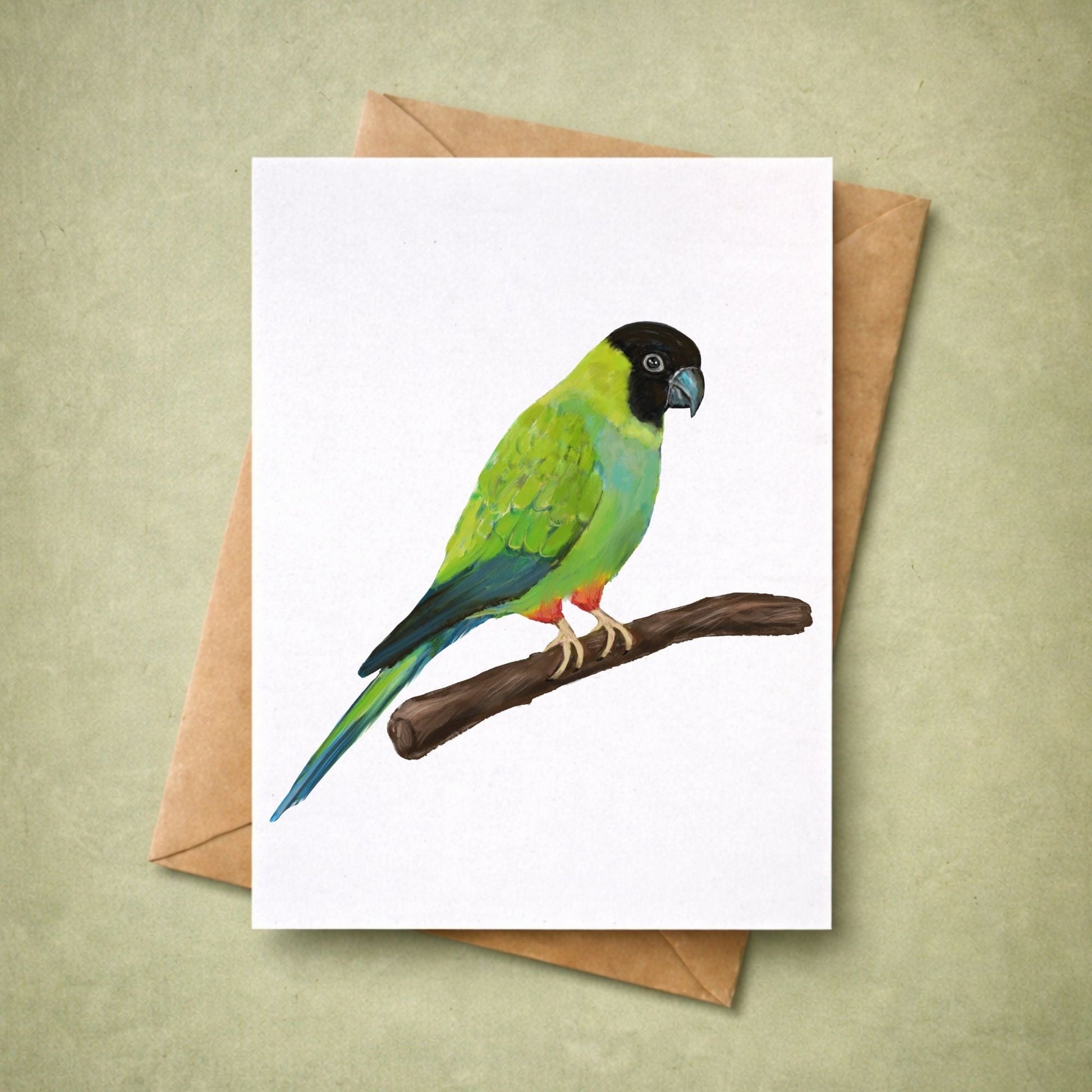 Nanday Conure Postcard - MerikaArt