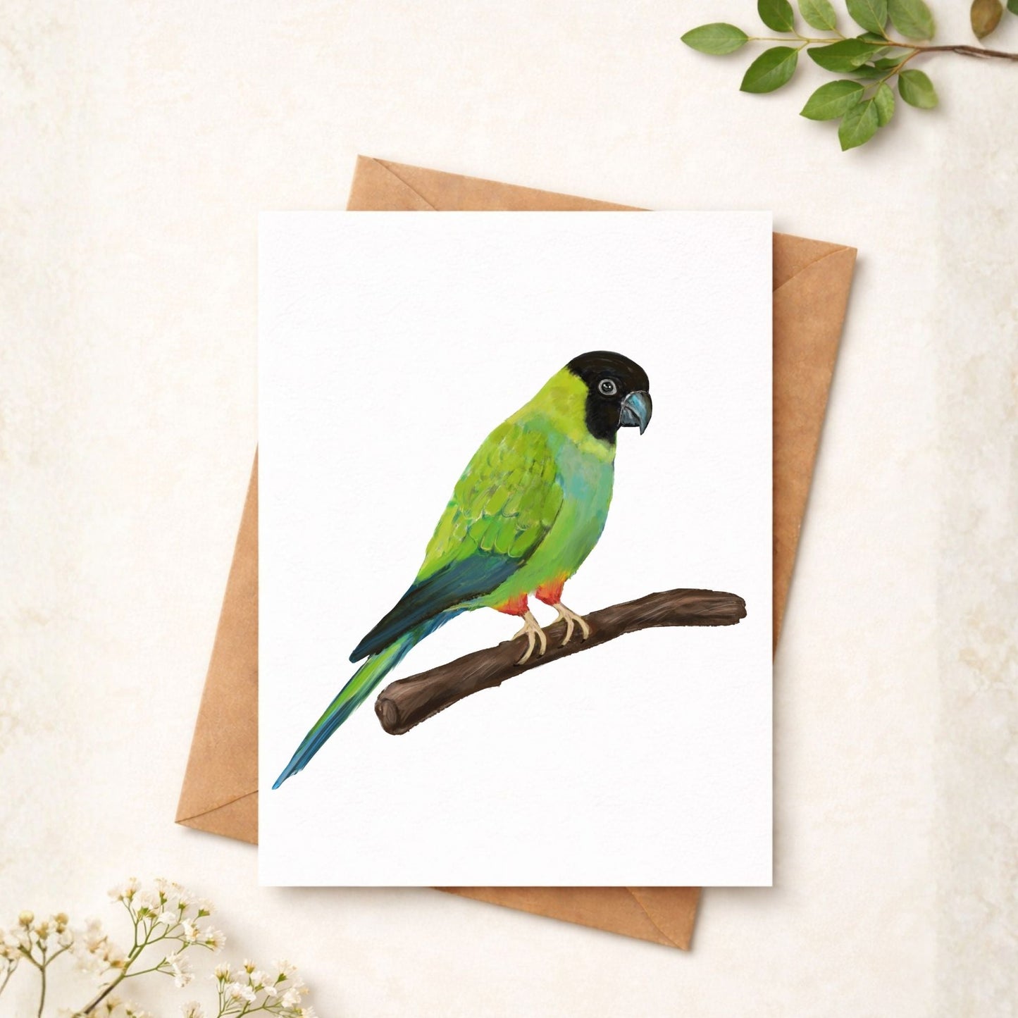 Nanday Conure Postcard - MerikaArt