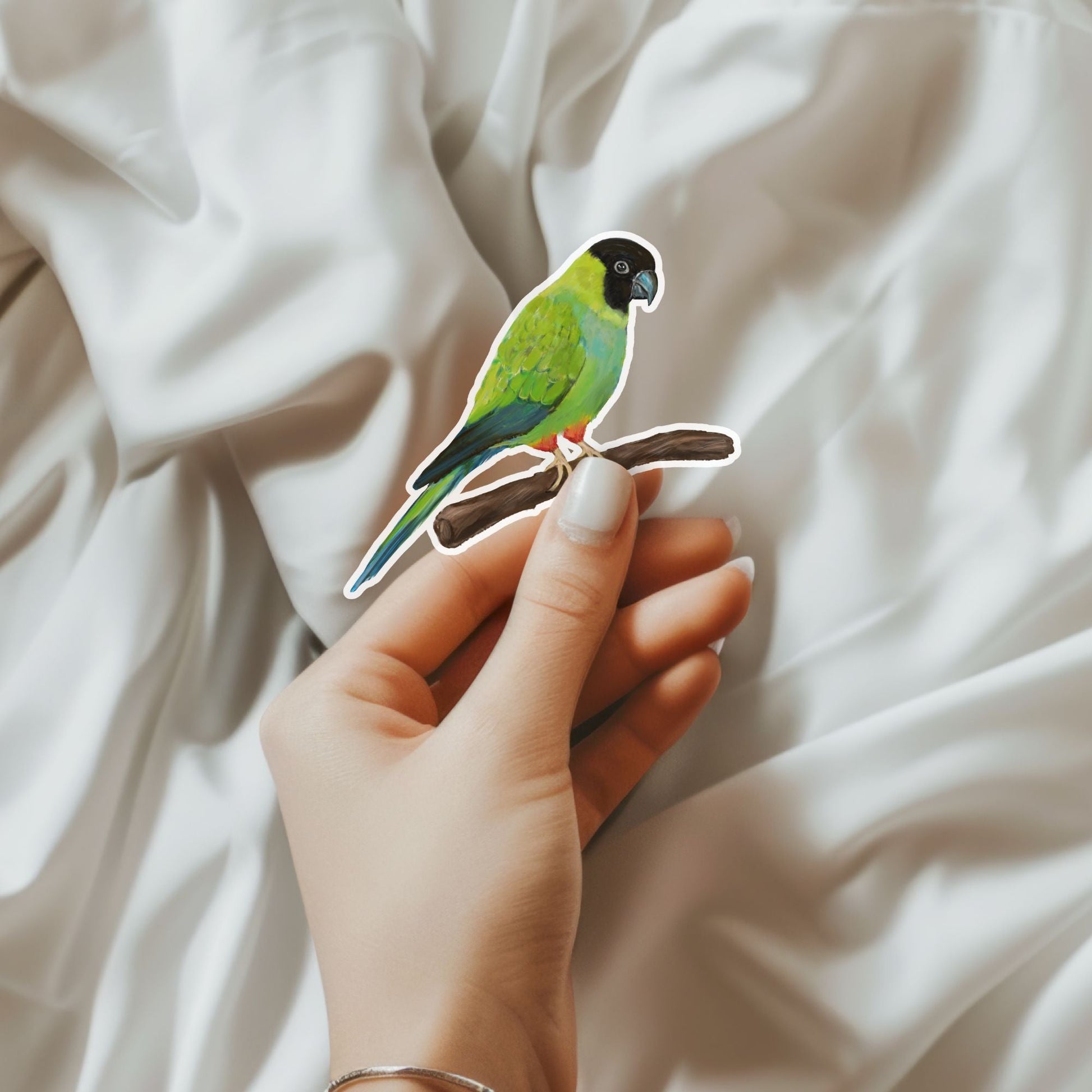 Nanday Conure Vinyl Sticker - MerikaArt