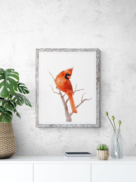 Northern Cardinal Print - MerikaArt