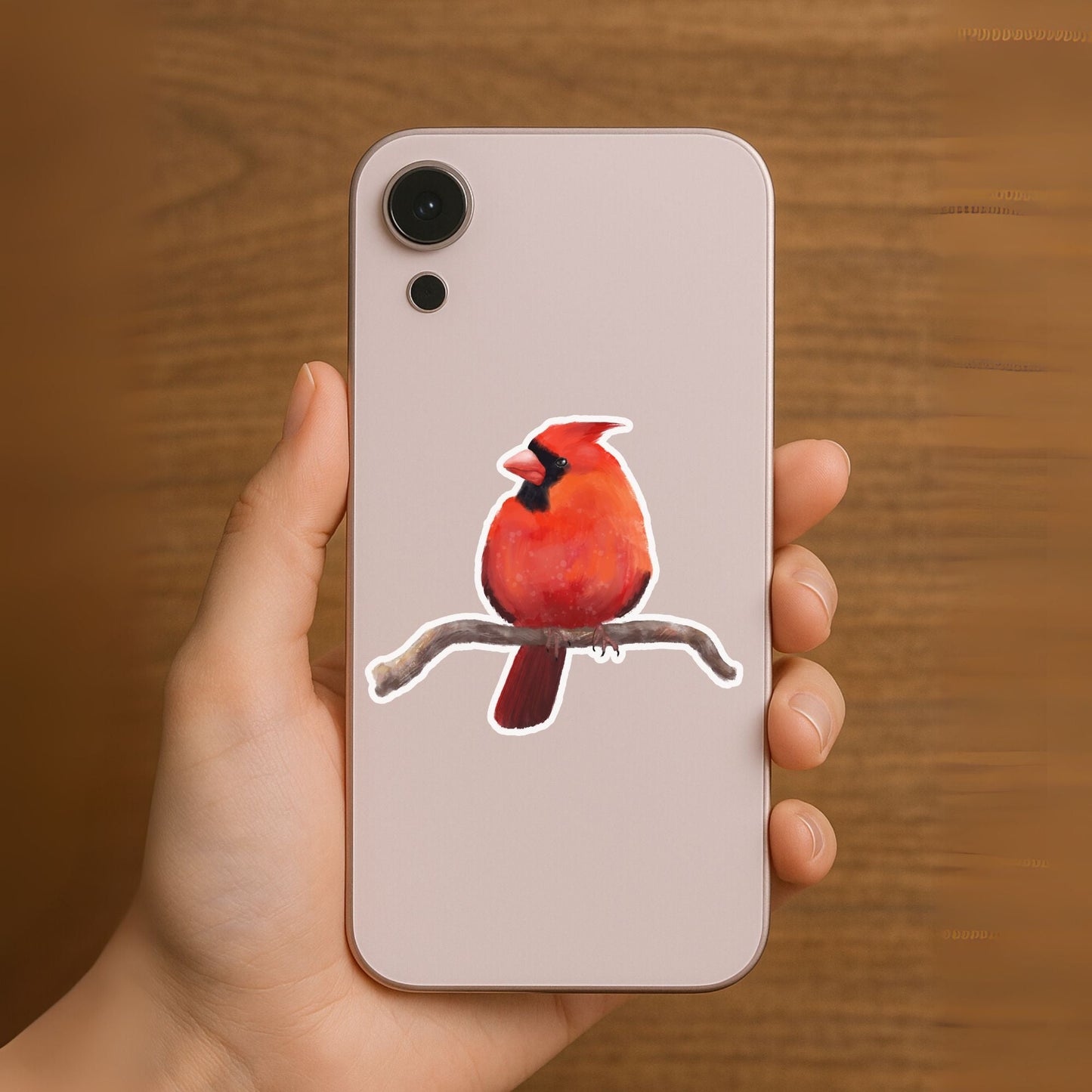 Northern Cardinal Sticker - MerikaArt