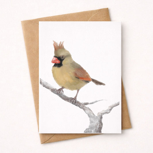 Northern Female Cardinal Postcard - MerikaArt
