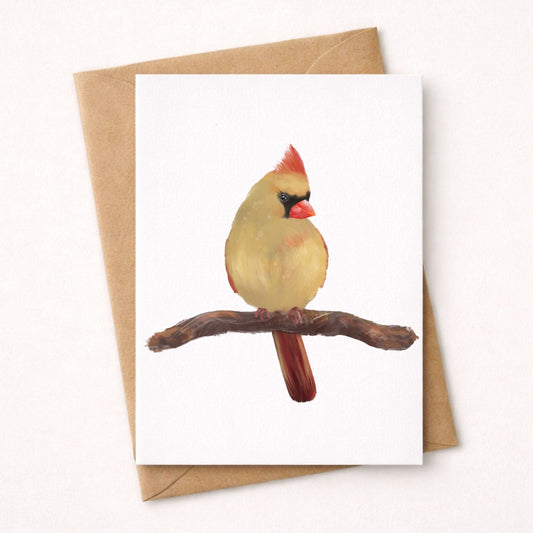 Northern Female Cardinal Postcard - MerikaArt