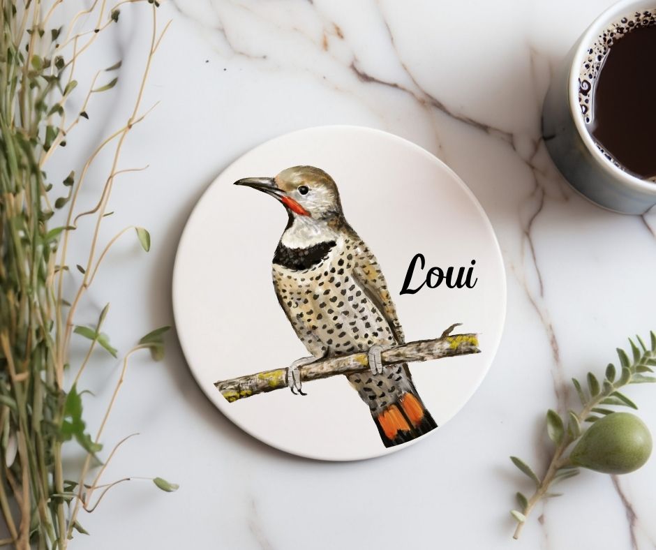 Northern Flicker Ceramic Coaster - MerikaArt