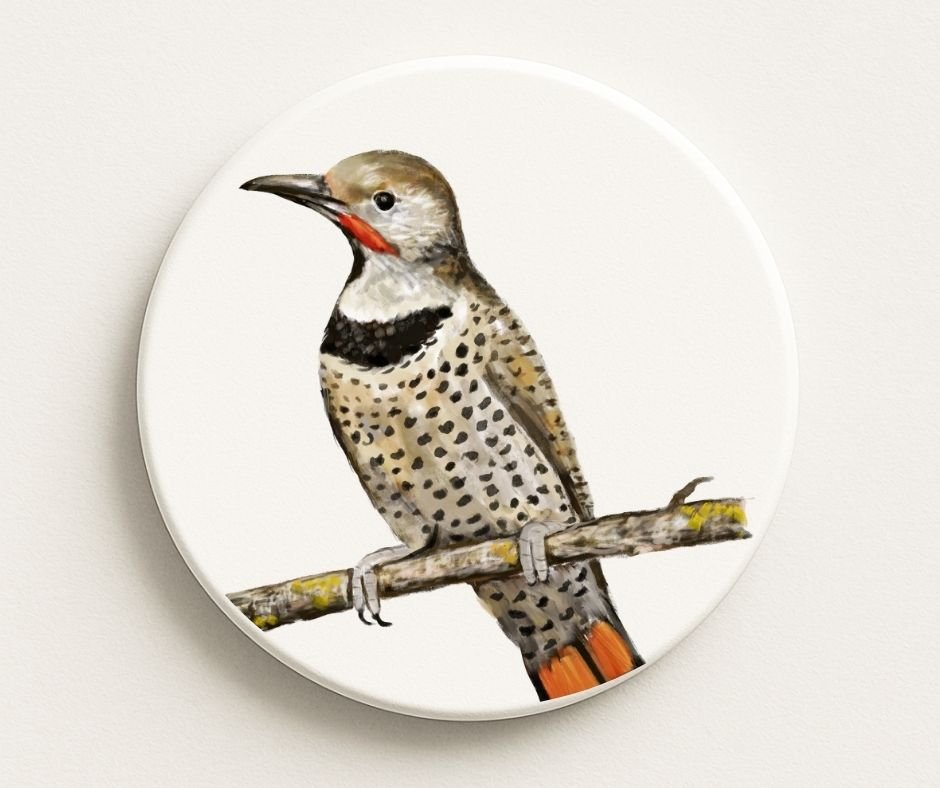 Northern Flicker Ceramic Coaster - MerikaArt