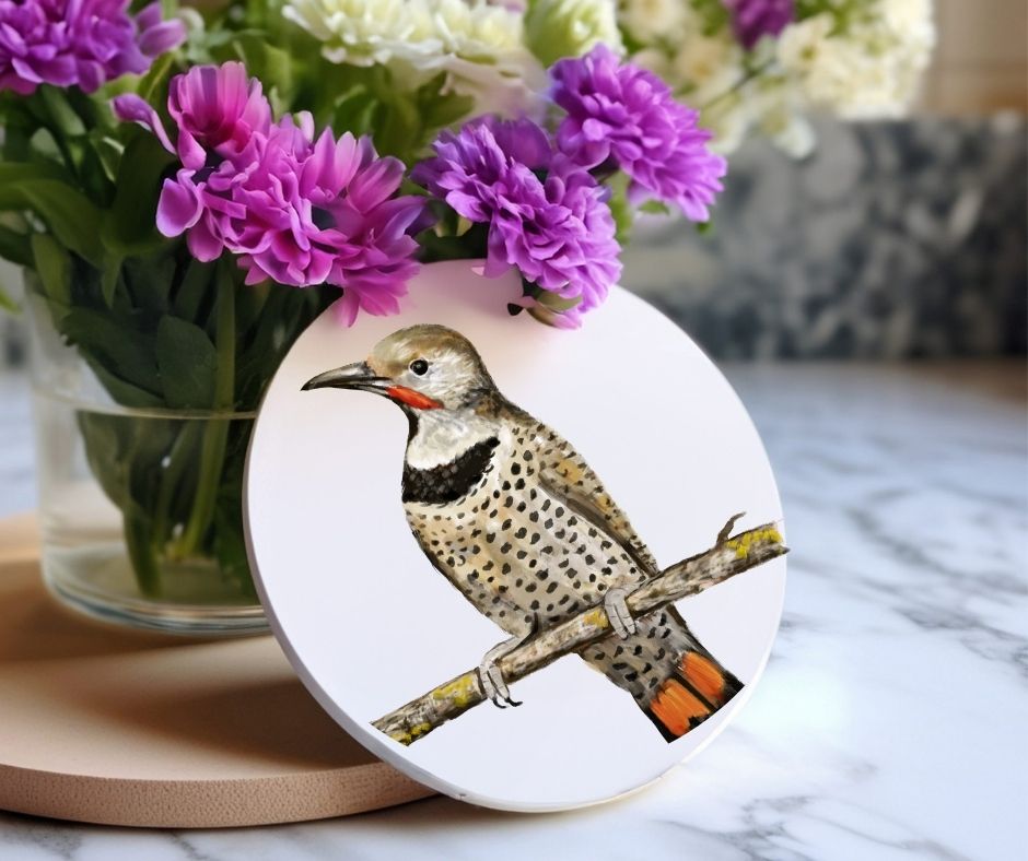 Northern Flicker Ceramic Coaster - MerikaArt