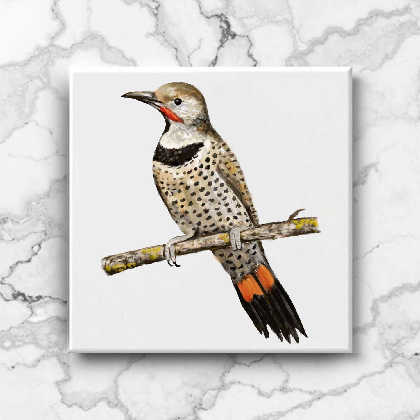 Northern Flicker Ceramic Tile - MerikaArt