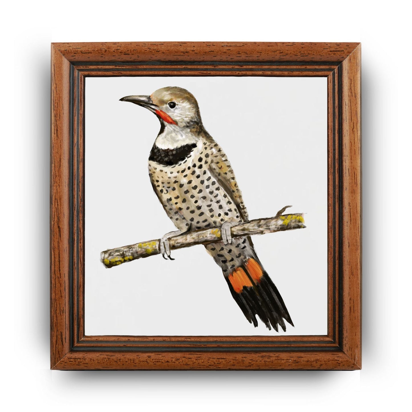 Northern Flicker Ceramic Tile - MerikaArt