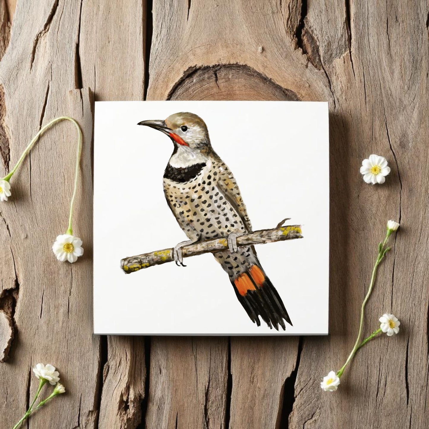 Northern Flicker Ceramic Tile - MerikaArt