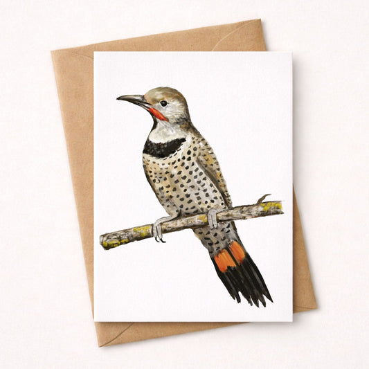 Northern Flicker Postcard - MerikaArt