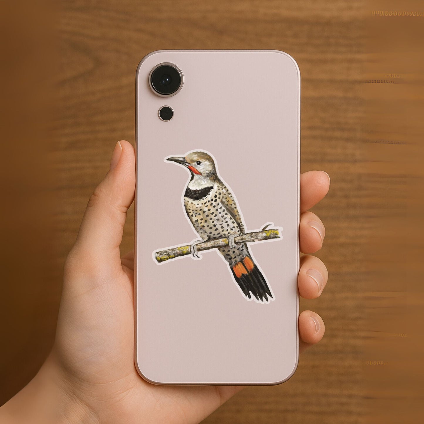 Northern Flicker Sticker - MerikaArt