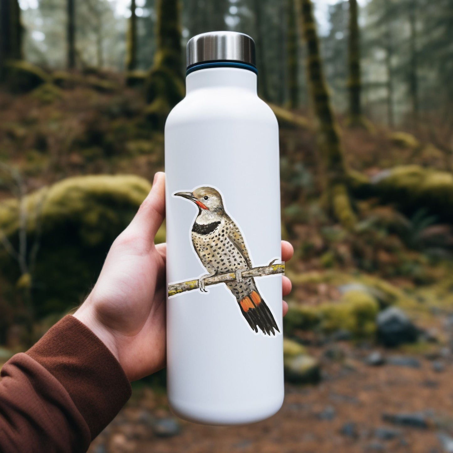 Northern Flicker Sticker - MerikaArt