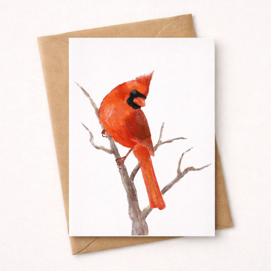 Northern Male Cardinal Postcard - MerikaArt