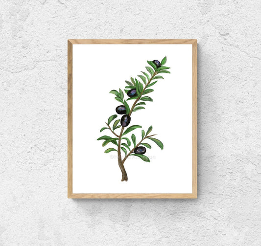 Olive Branch Art Print, Still Life Wall Art, Olive Leaf Decor, Dining Room Decor, Botanical Painting, Plant Illustration, Farmhouse Decor - MerikaArt