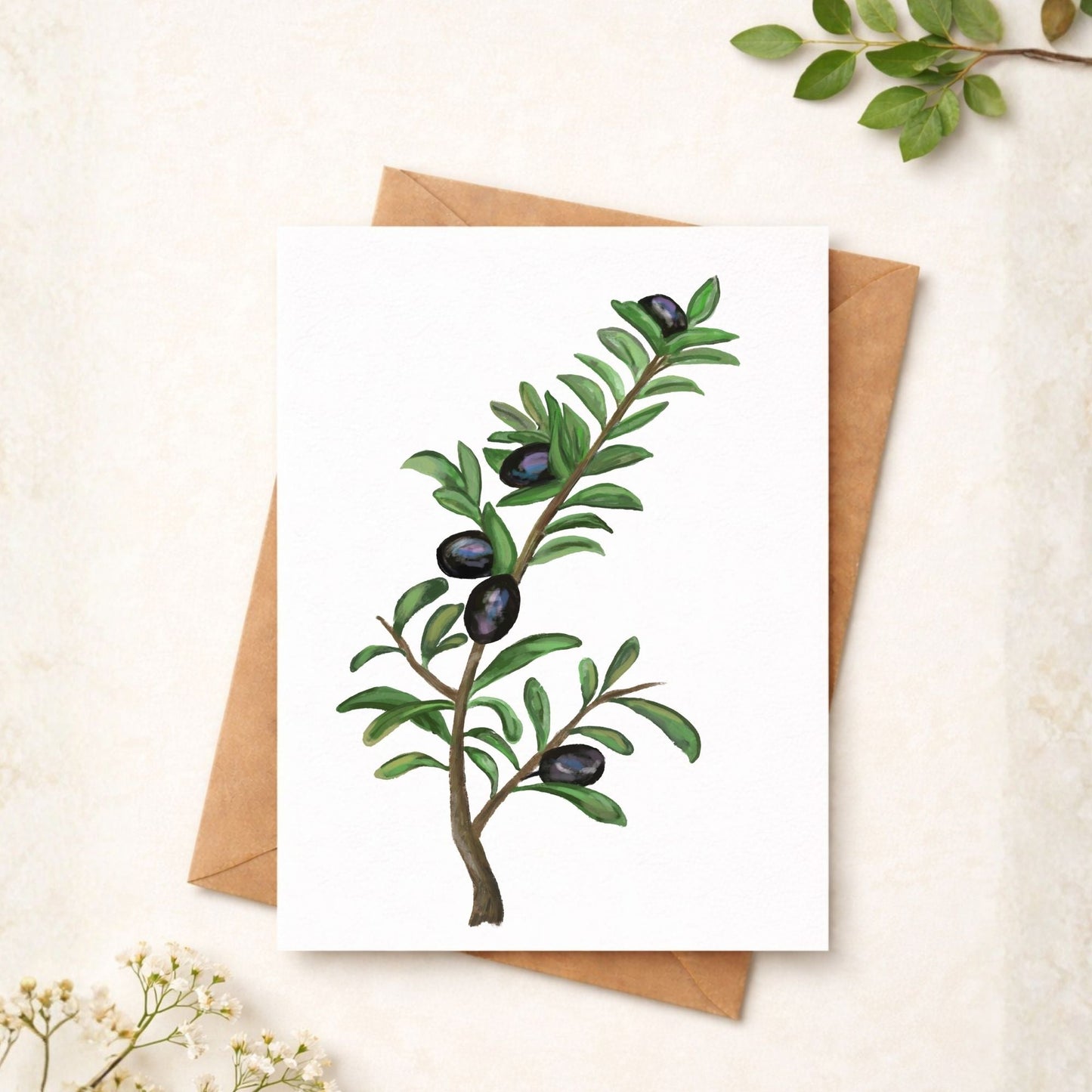 Olive Branch Postcard - MerikaArt