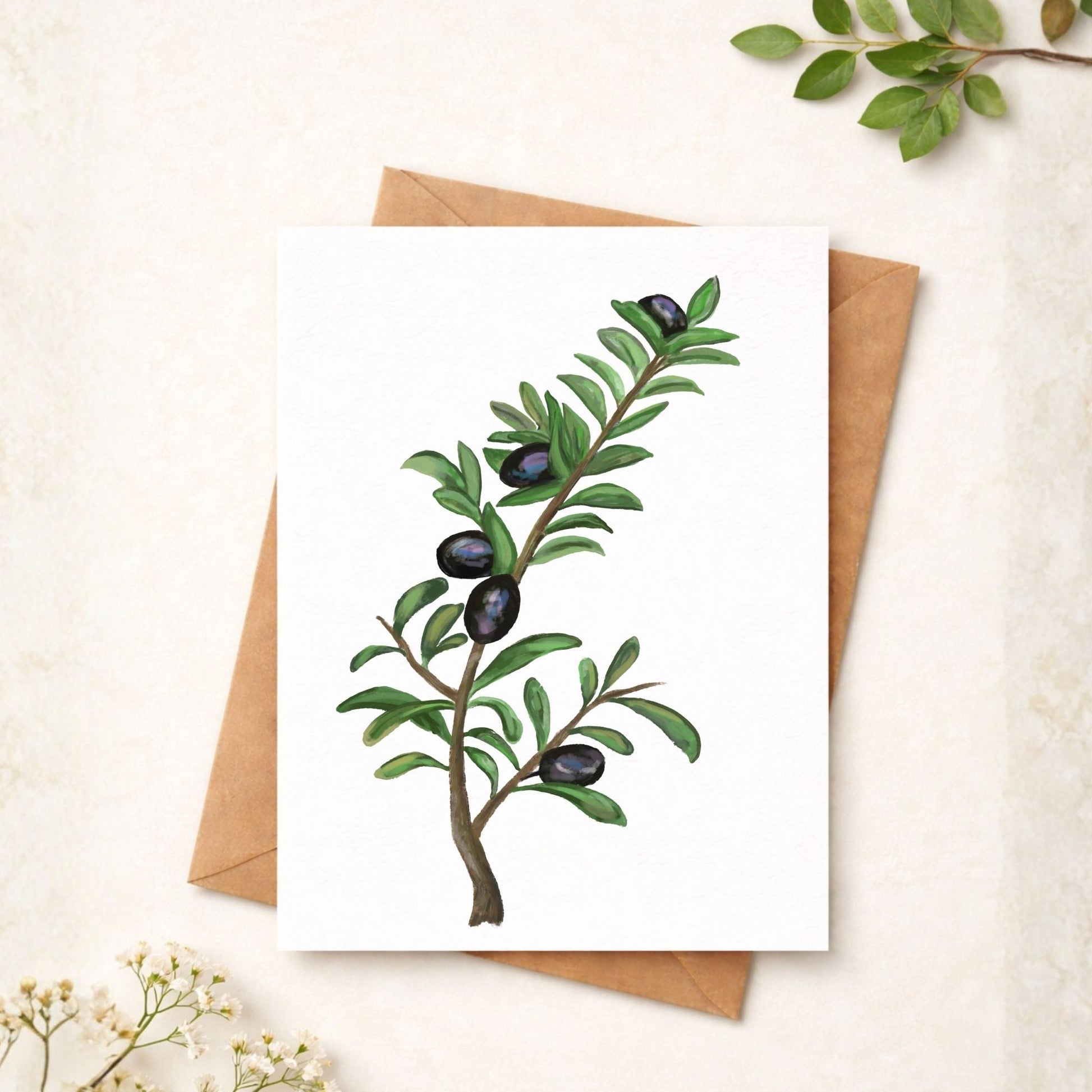 Olive Branch Postcard - MerikaArt