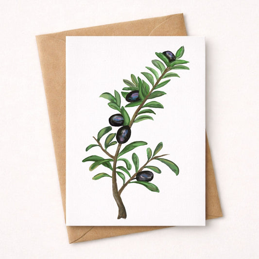 Olive Branch Postcard - MerikaArt