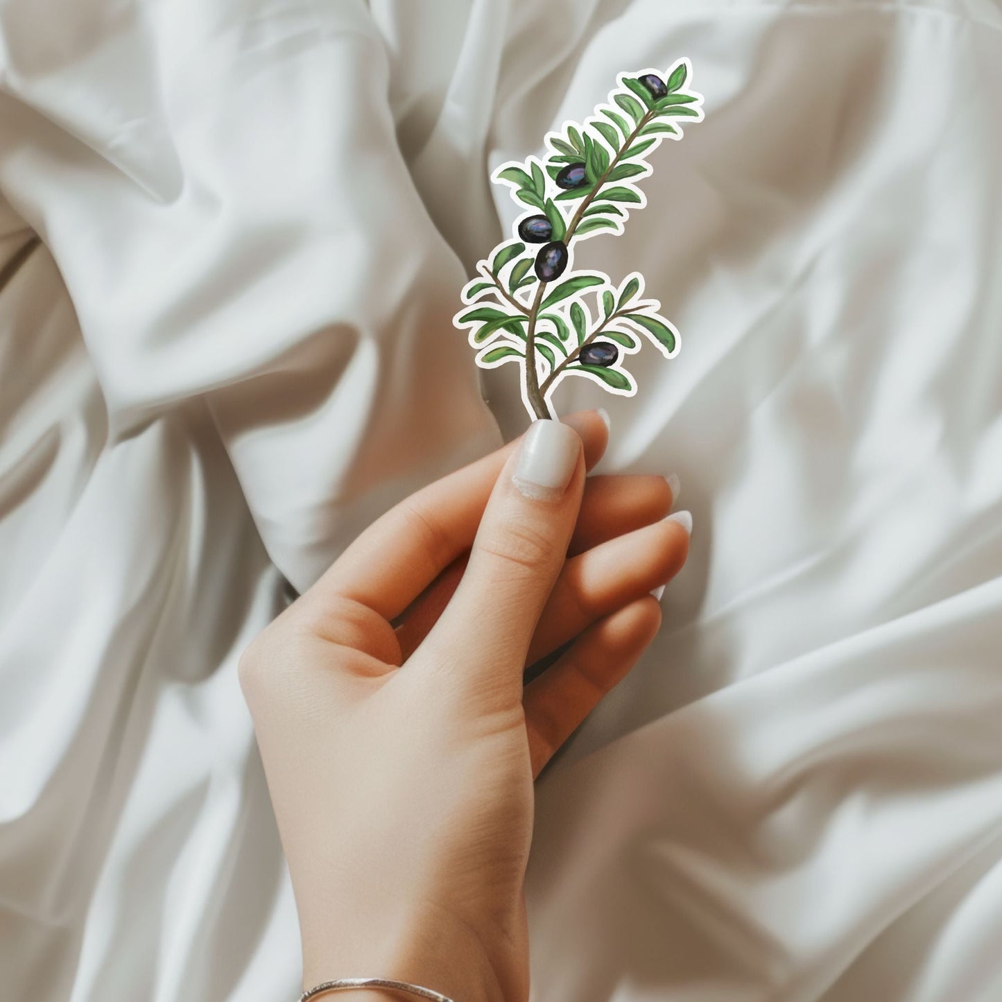 Olive Branch Sticker - MerikaArt