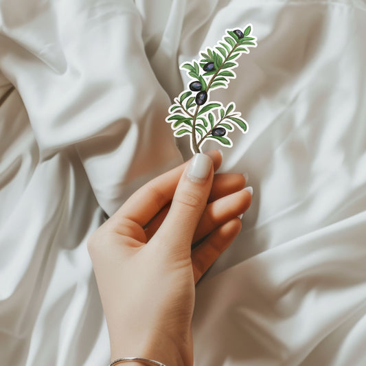 Olive Branch Sticker - MerikaArt