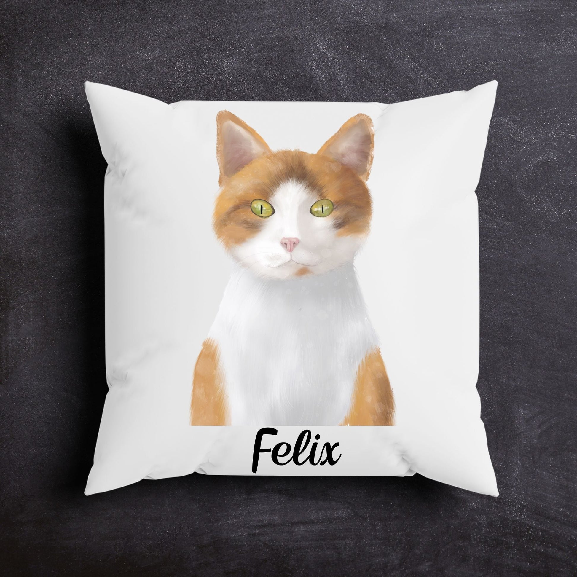 Orange and White Cat Pillow - MerikaArt