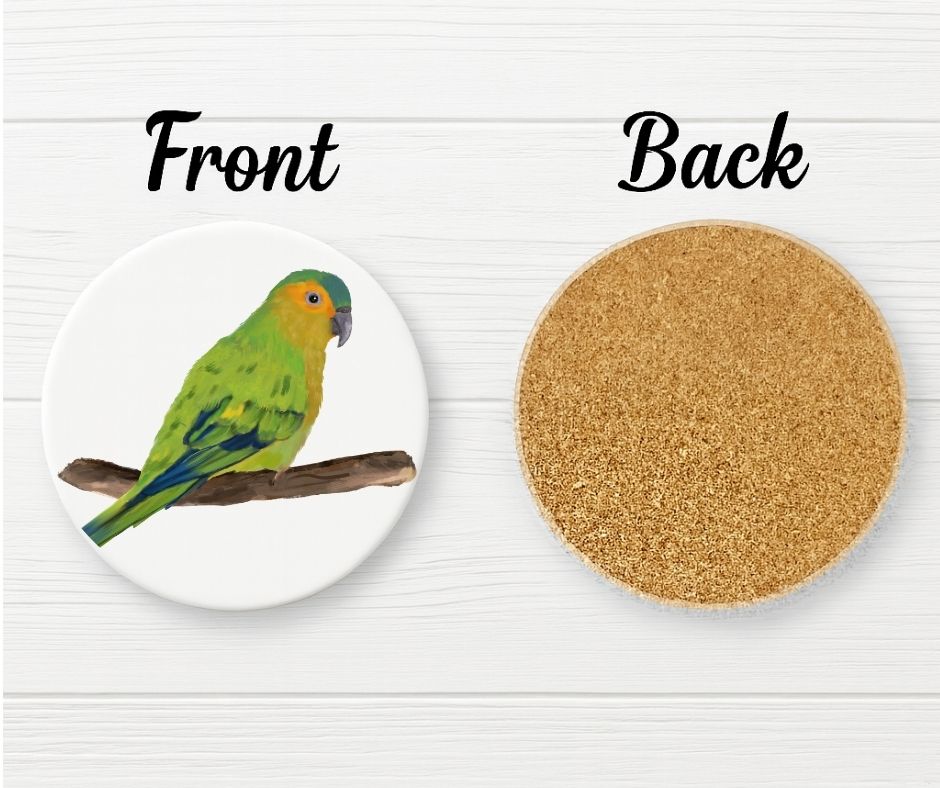 Orange - fronted Parakeet Ceramic Coaster - MerikaArt