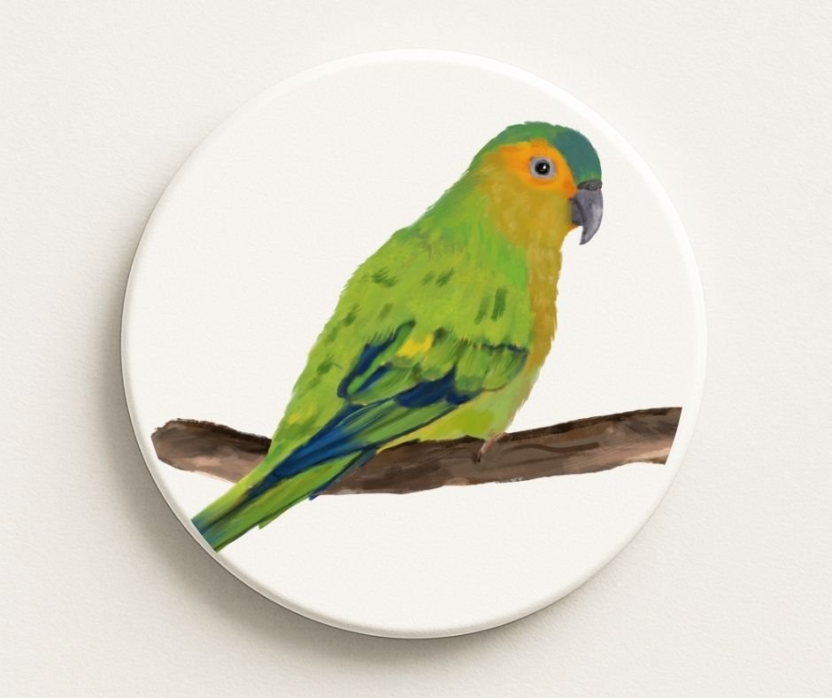Orange - fronted Parakeet Ceramic Coaster - MerikaArt