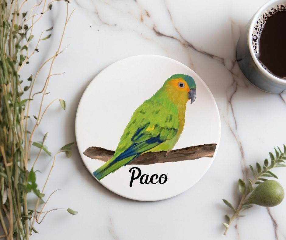 Orange - fronted Parakeet Ceramic Coaster - MerikaArt