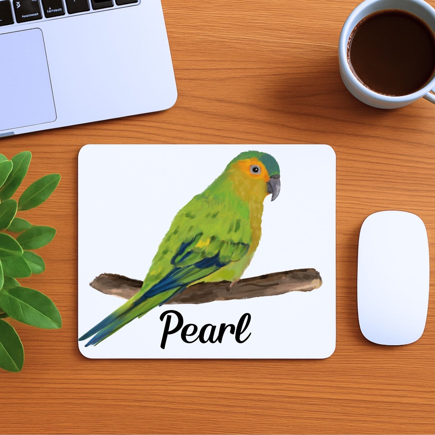 Orange - Fronted Parakeet Mousepad - MerikaArt