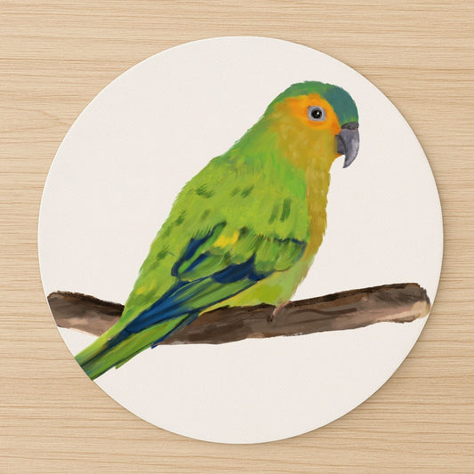 Orange - Fronted Parakeet Mousepad - MerikaArt