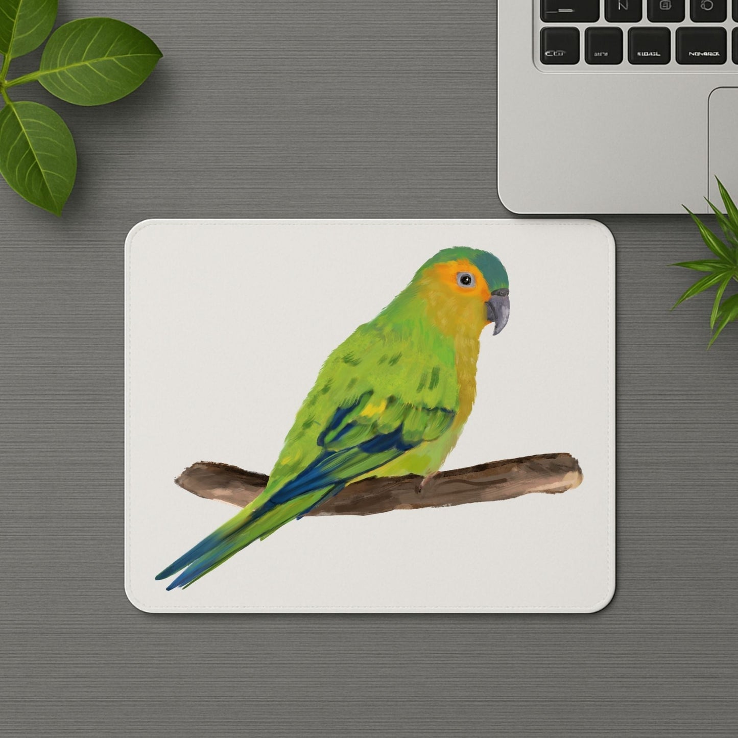 Orange - Fronted Parakeet Mousepad - MerikaArt